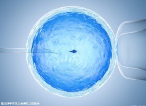 关于冰原生殖